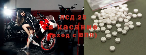 ПСИЛОЦИБИНОВЫЕ ГРИБЫ Алзамай