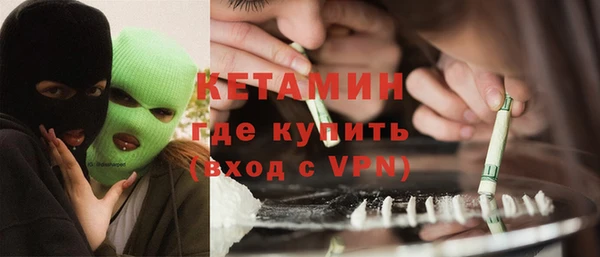 крисы Алексин