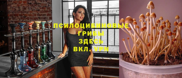ПСИЛОЦИБИНОВЫЕ ГРИБЫ Алзамай